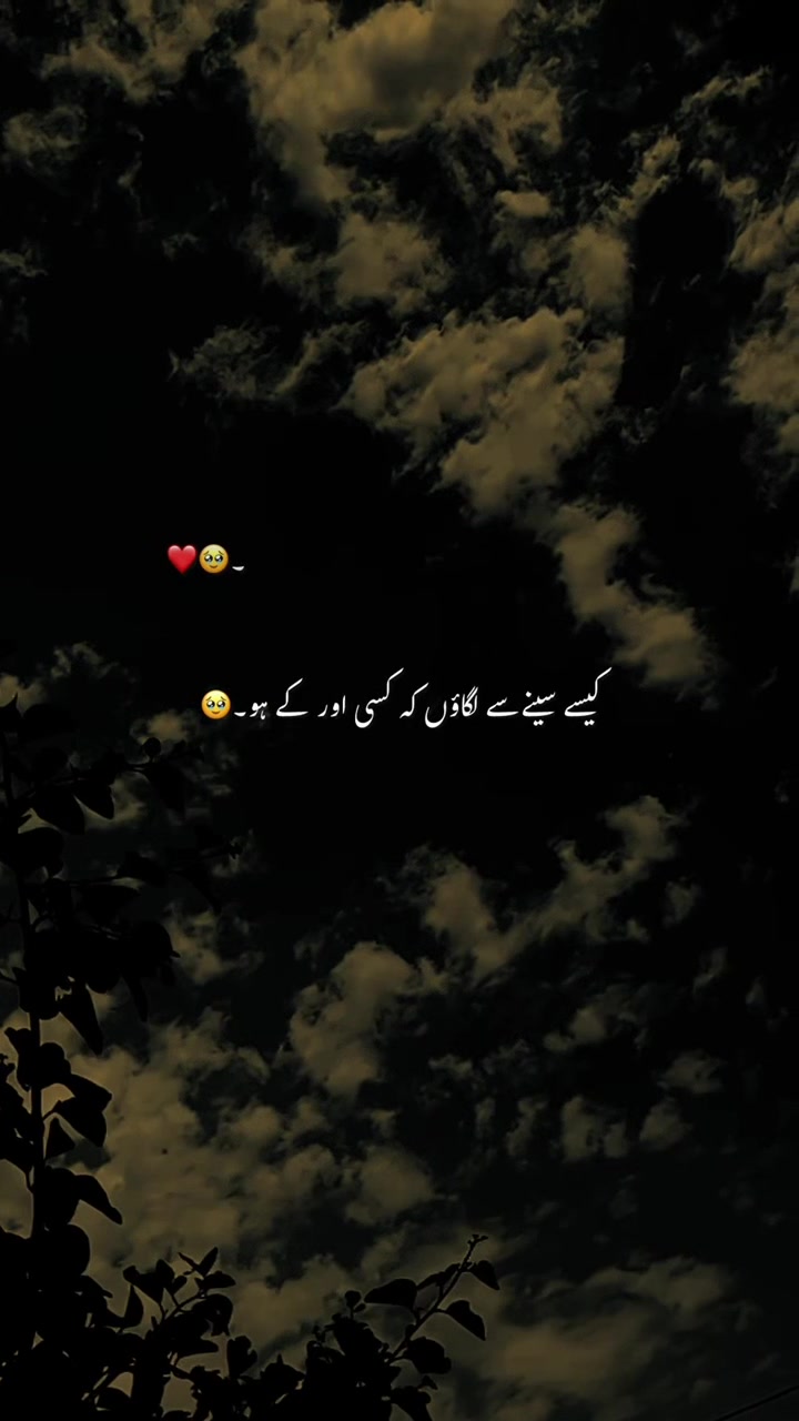 @🕊️