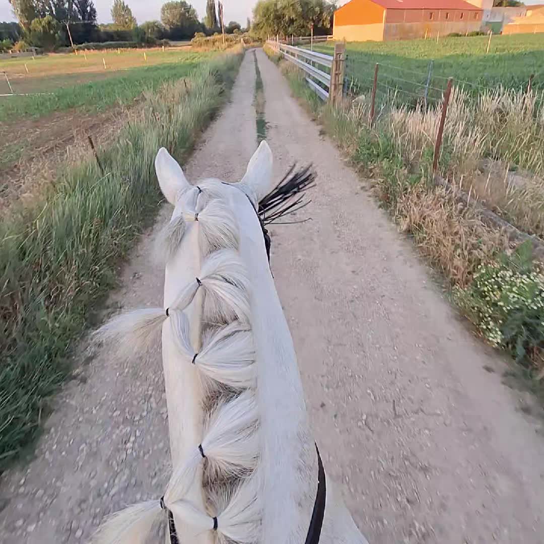 @pablitocraft123