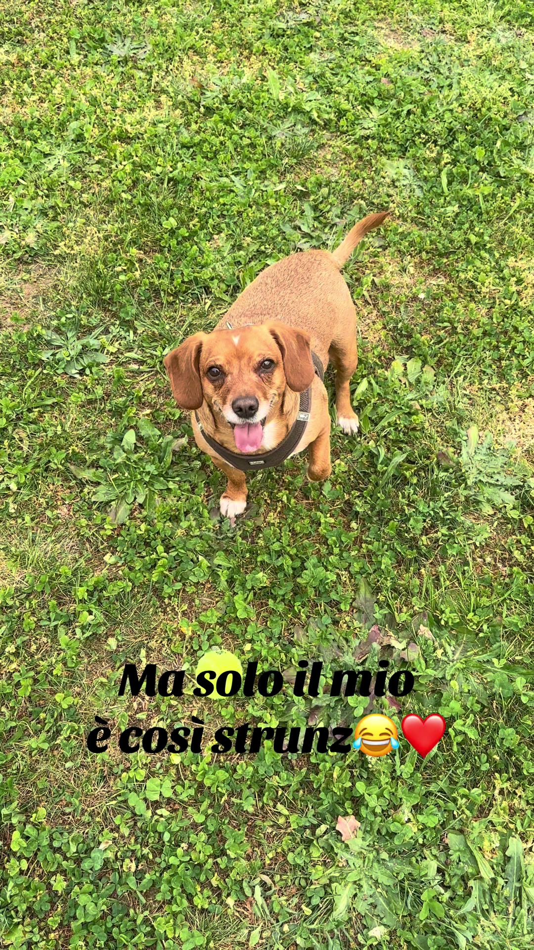 @Paola❤️