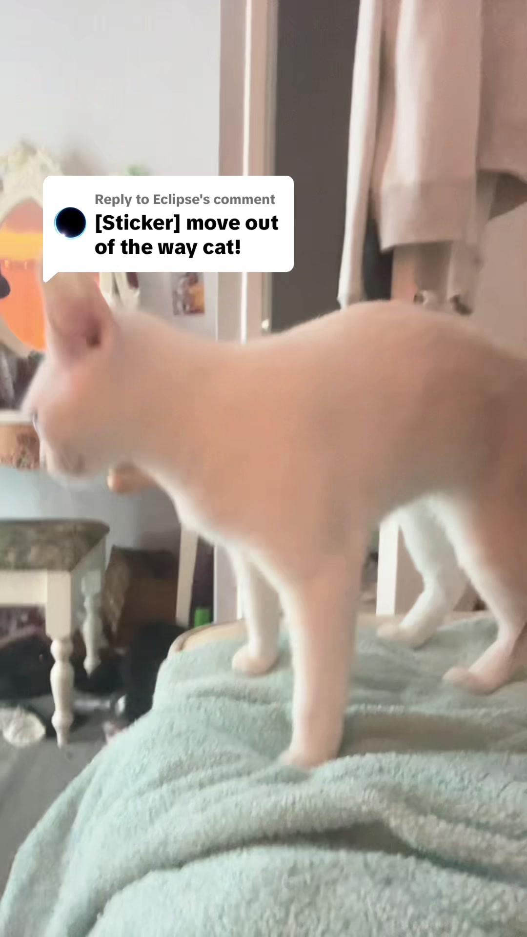 @gracierosedavies_19