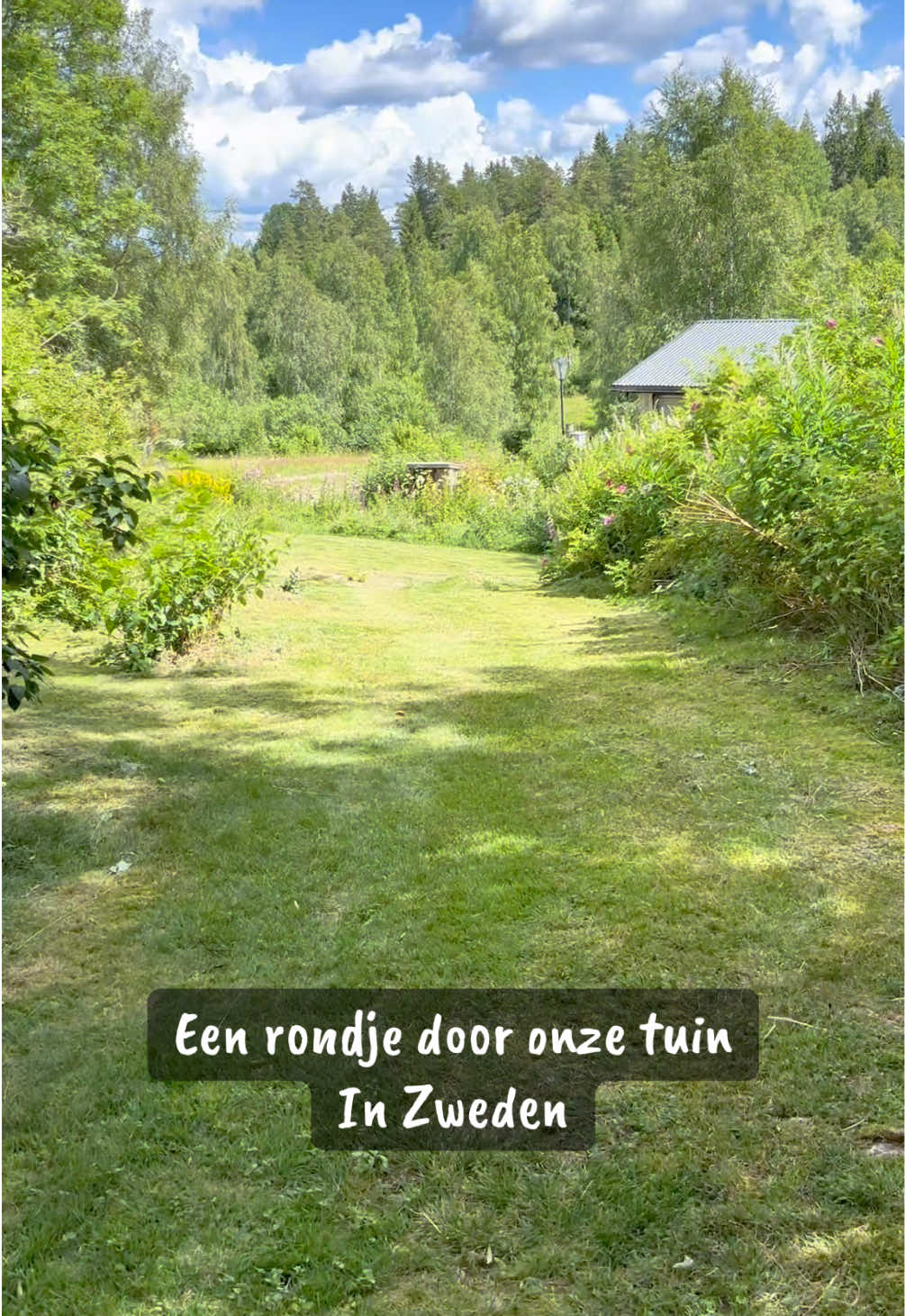 @Belivijn in Zweden