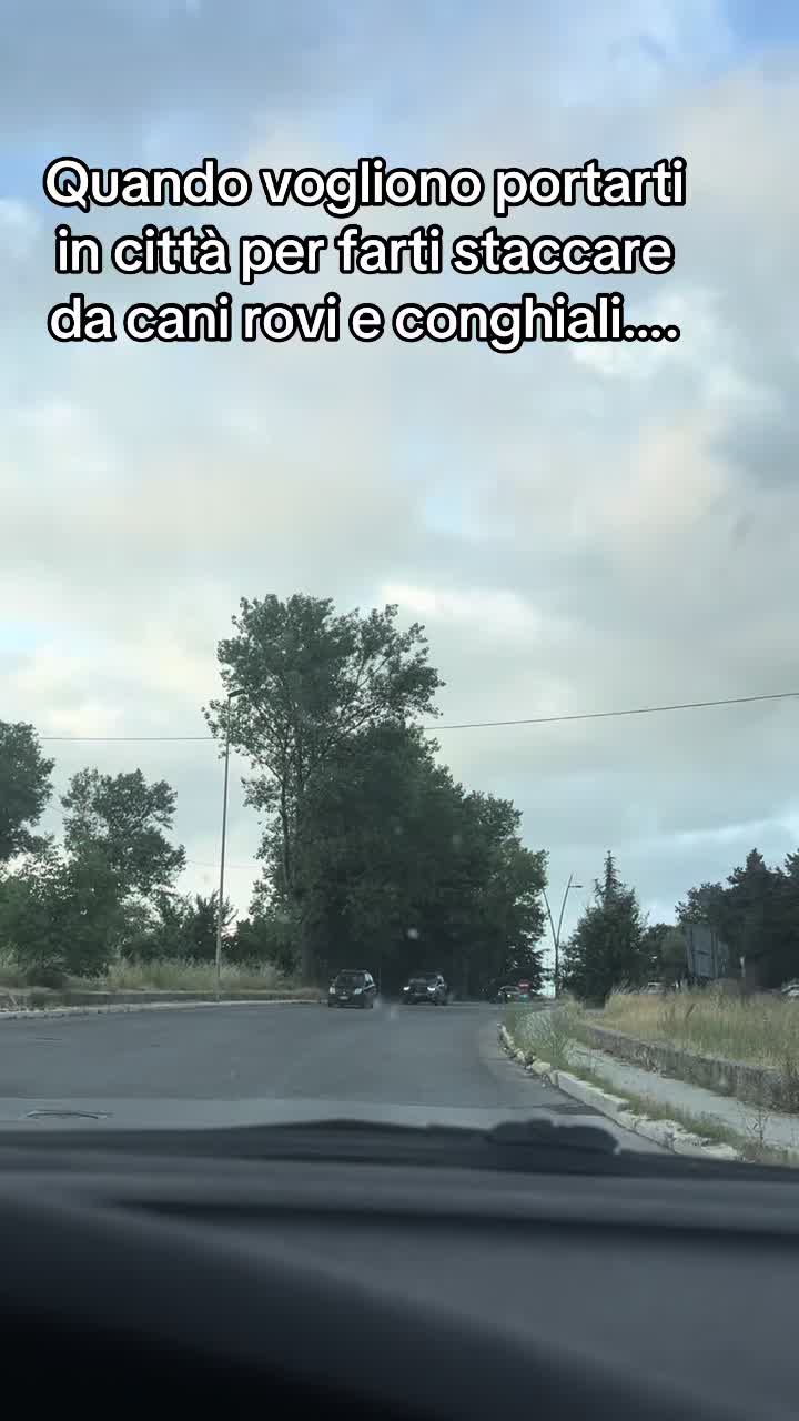@Andrea D'Andrea