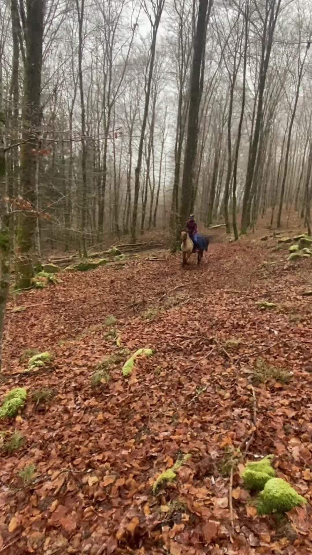 @oceane8888