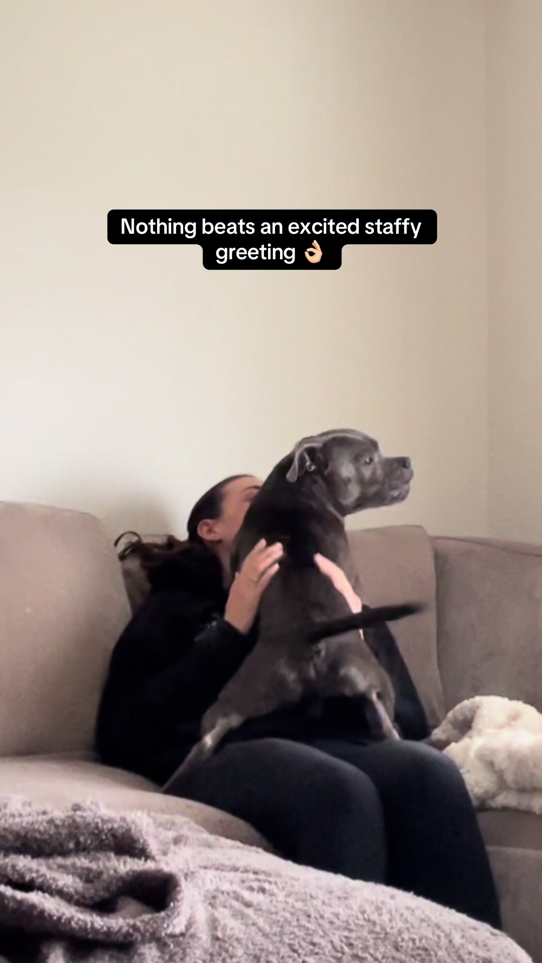 @Zeus the Blue Staffy⚡️
