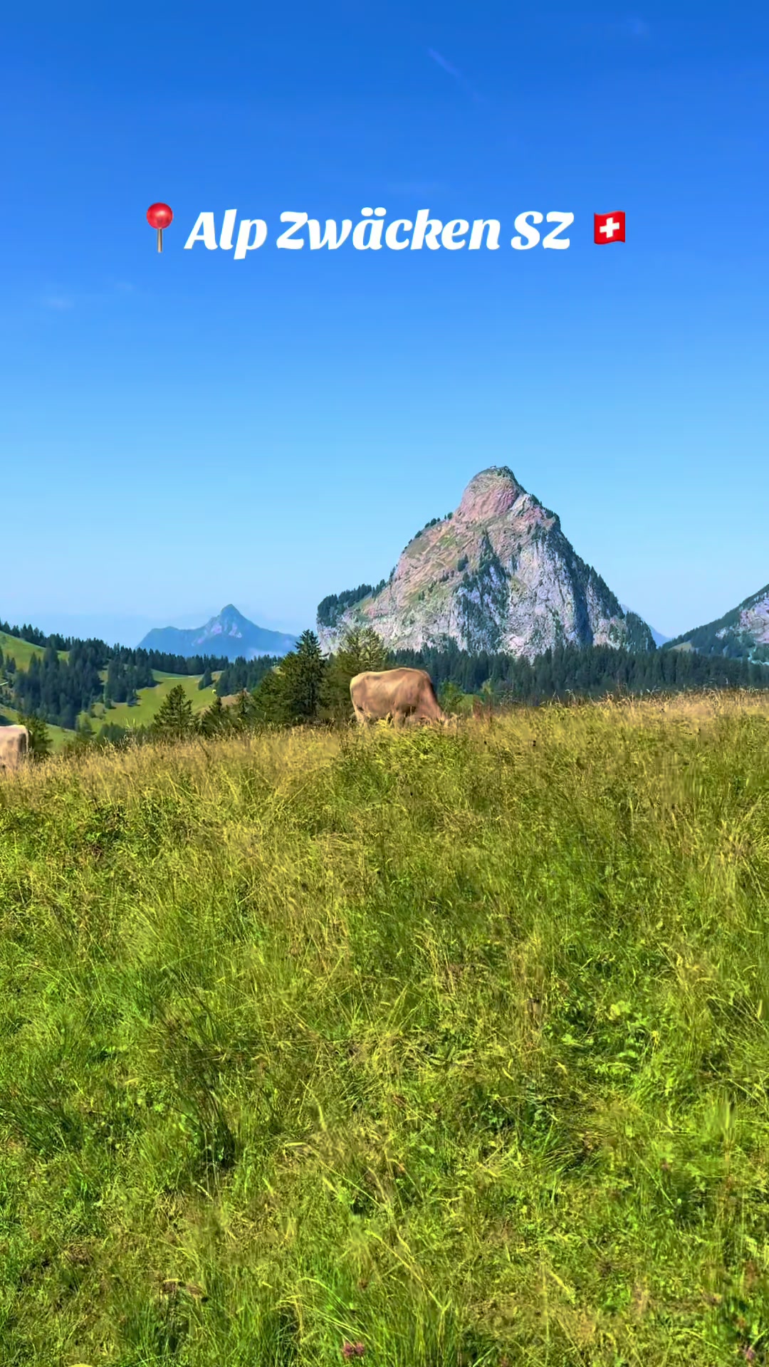 @swiss_alps