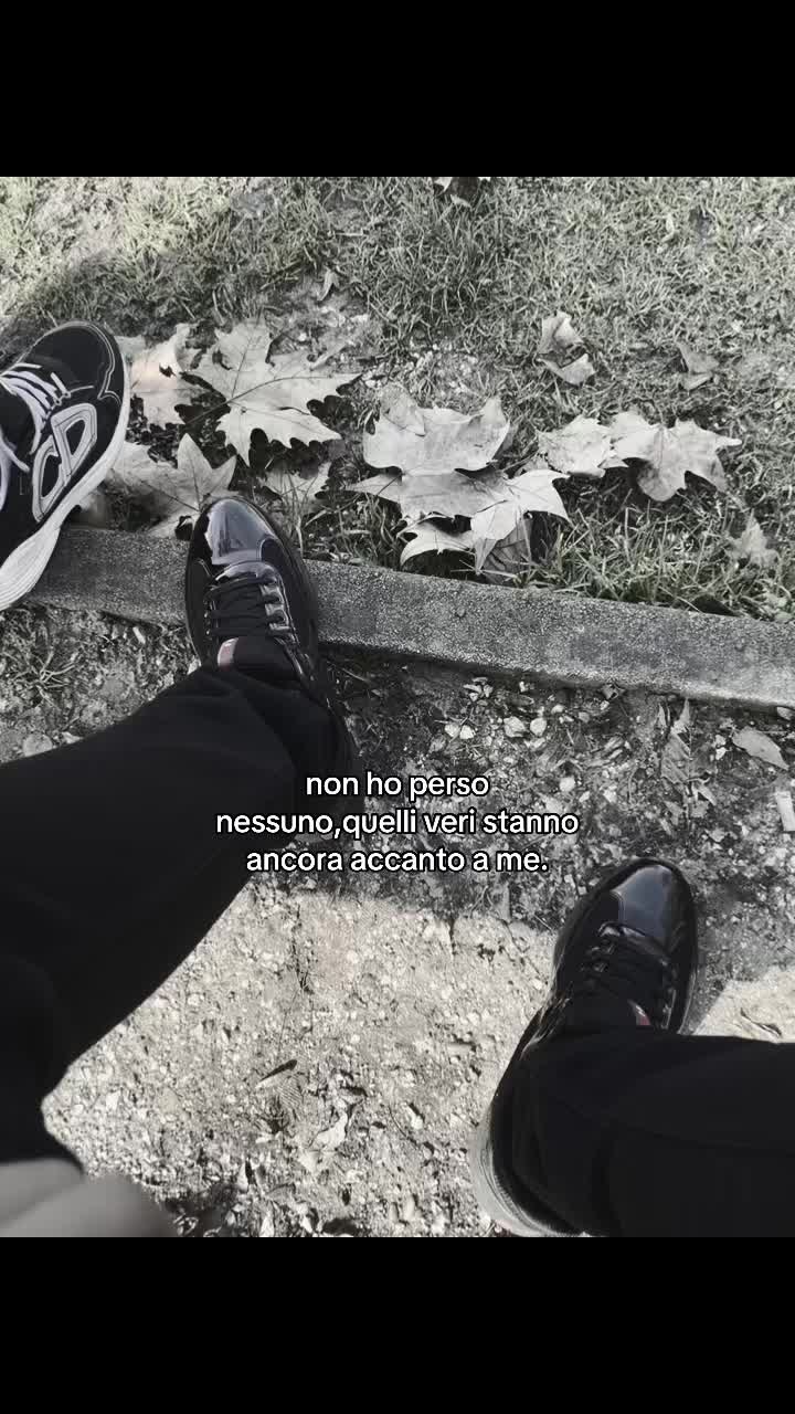 @🦈