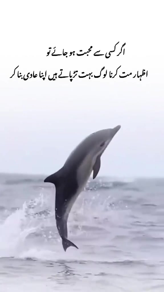 @Pagli ❤️پگلی ❤️🩹