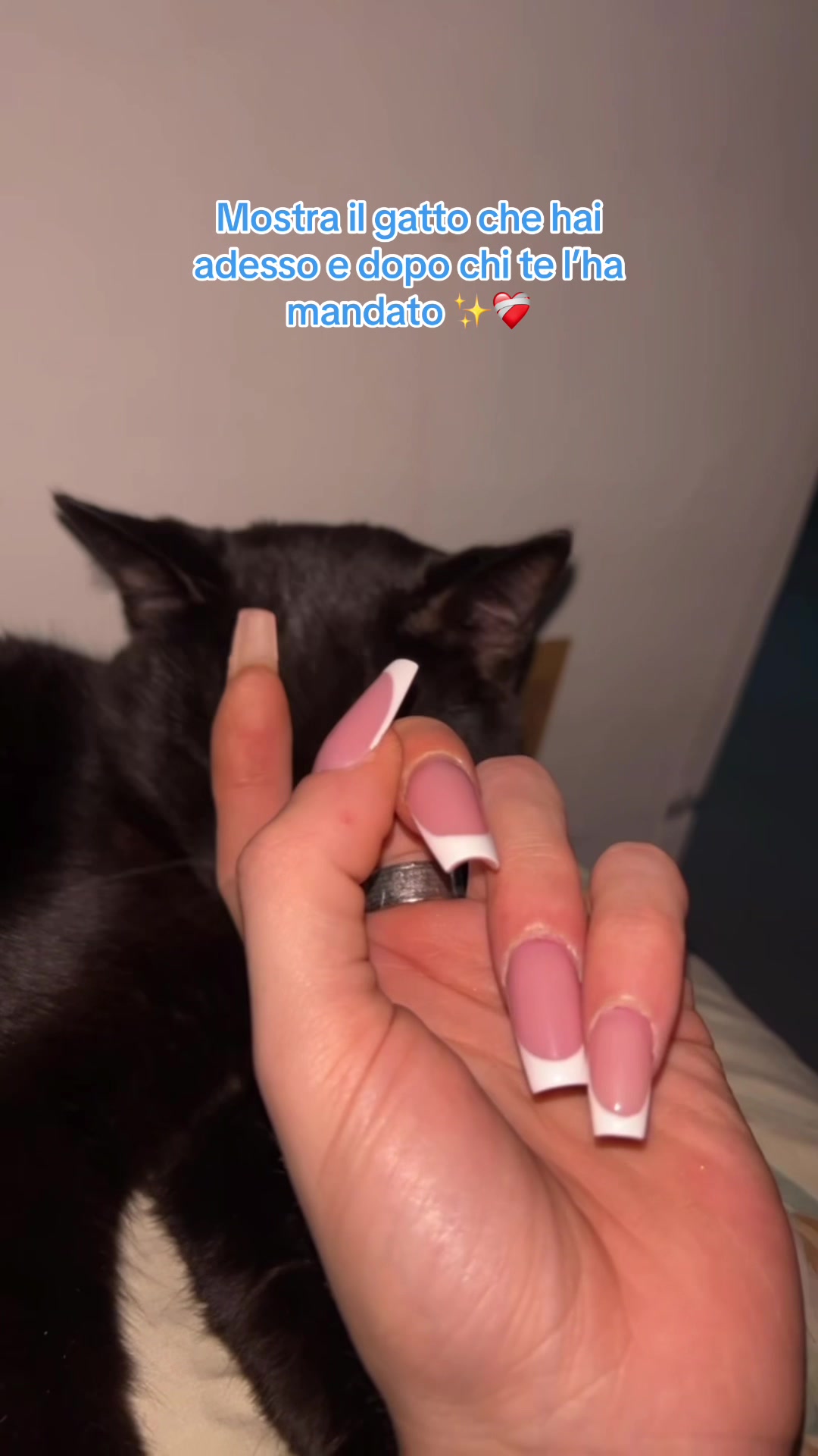 @bovetonya