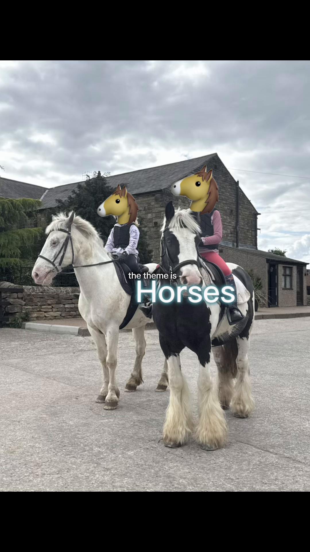 @LottiesHorseAdventures🦄🐴