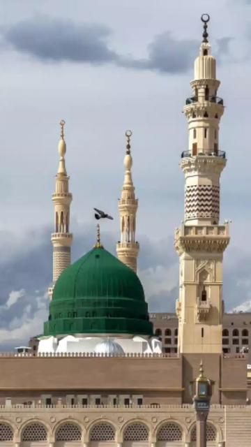 @usman.rajj