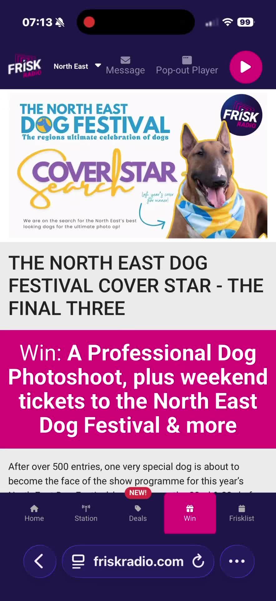 @northeastdogfestival