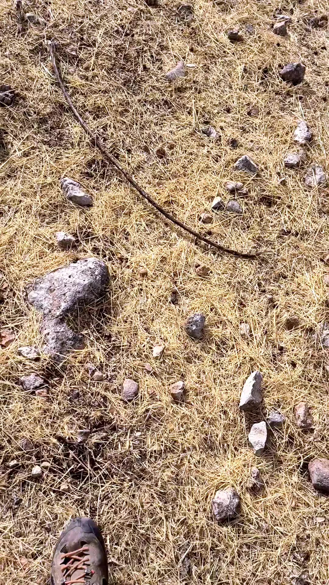 @juan.AKAB.ElCabrero