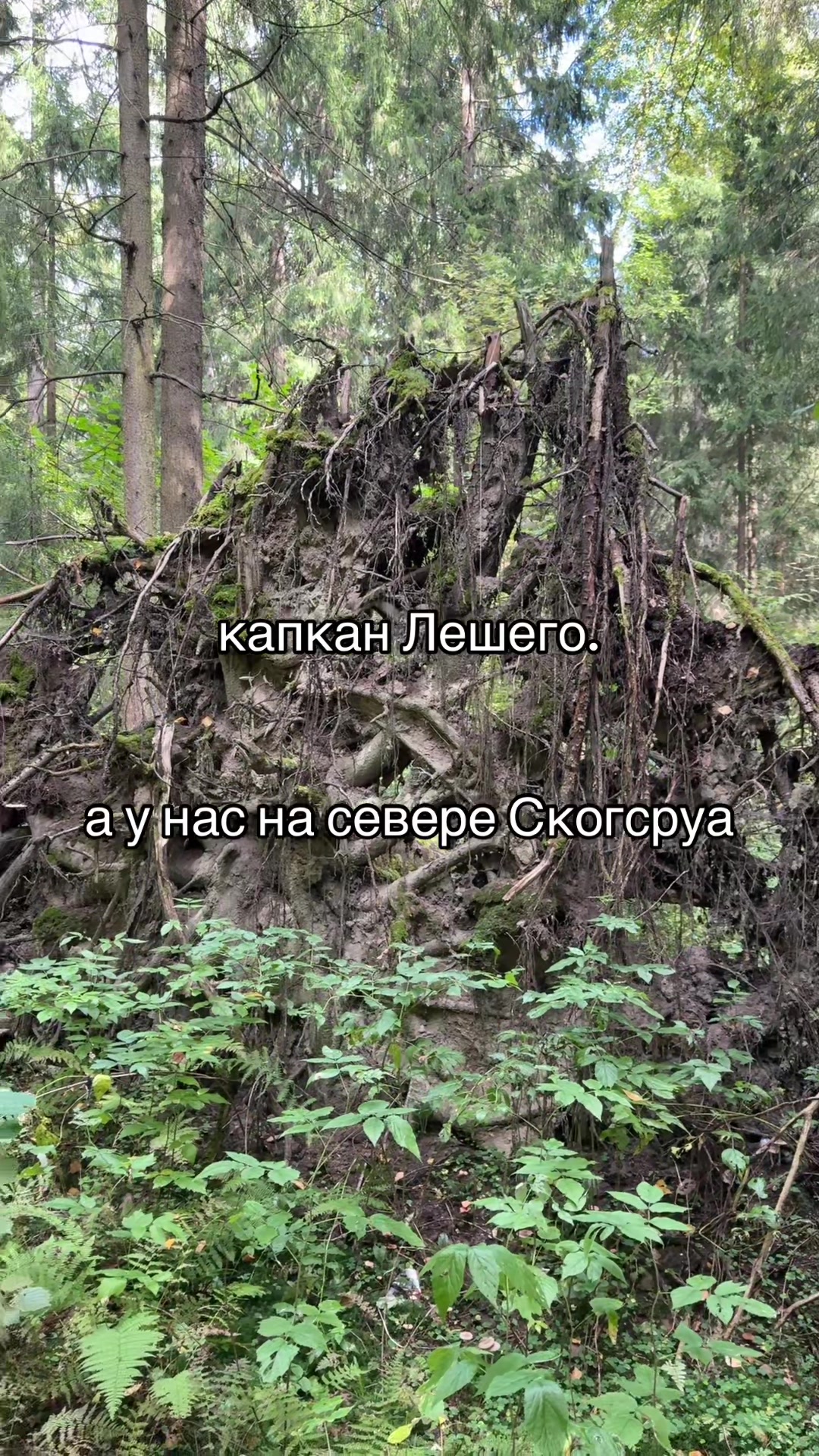 @hxdbwodanazson