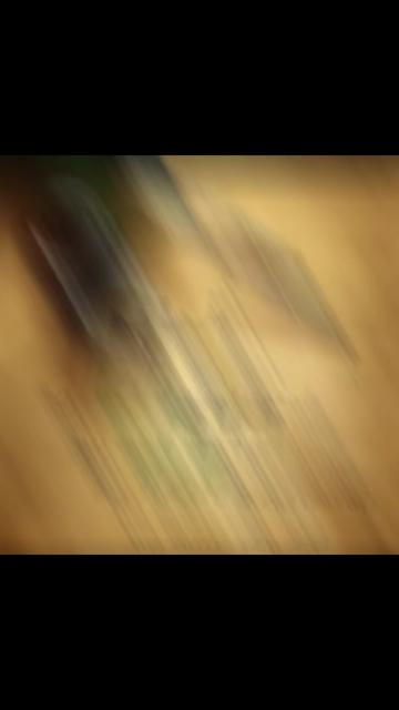 @Traveler's eyes