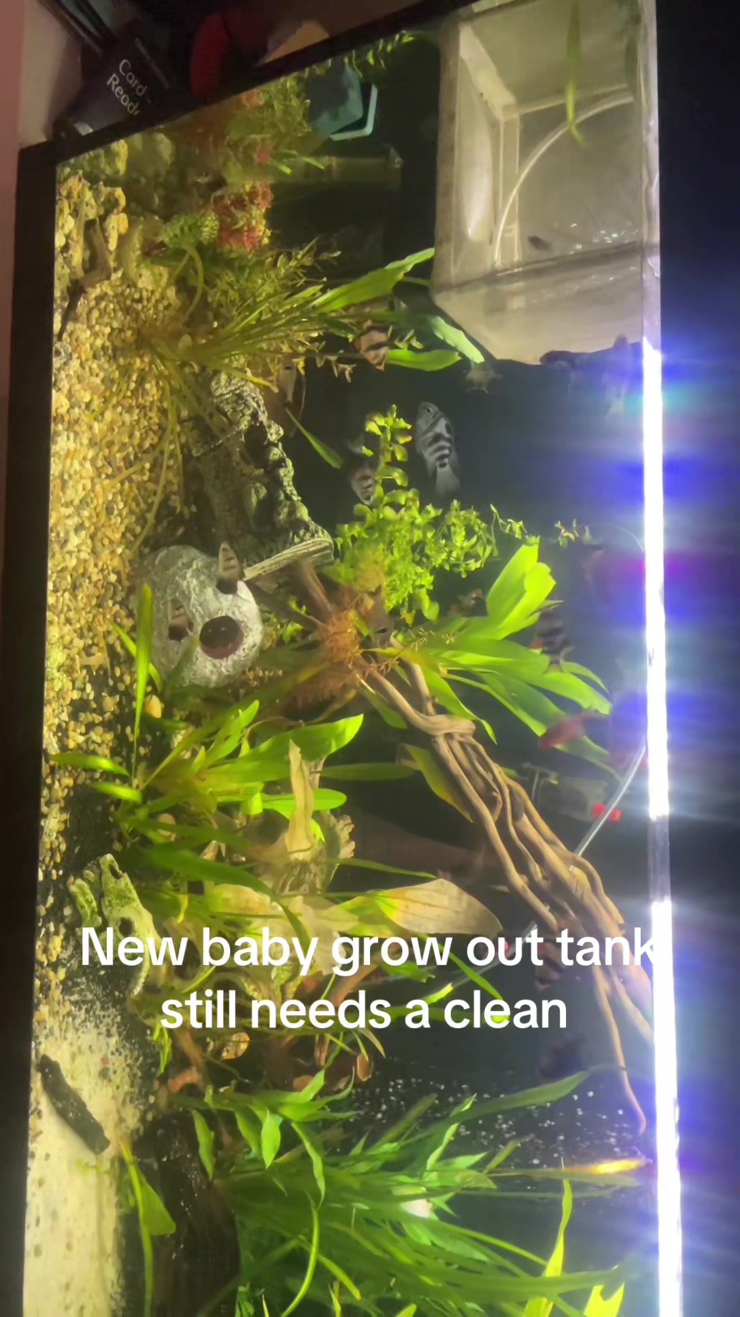 @CRBaquatics