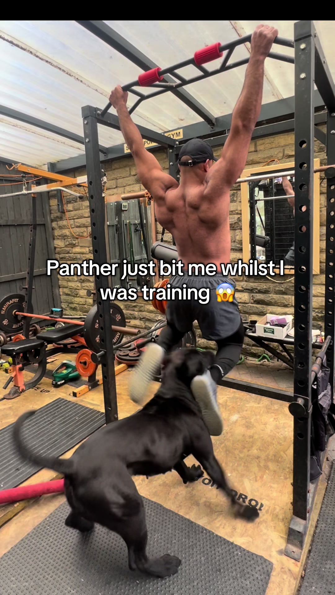 @loyal_pantherr