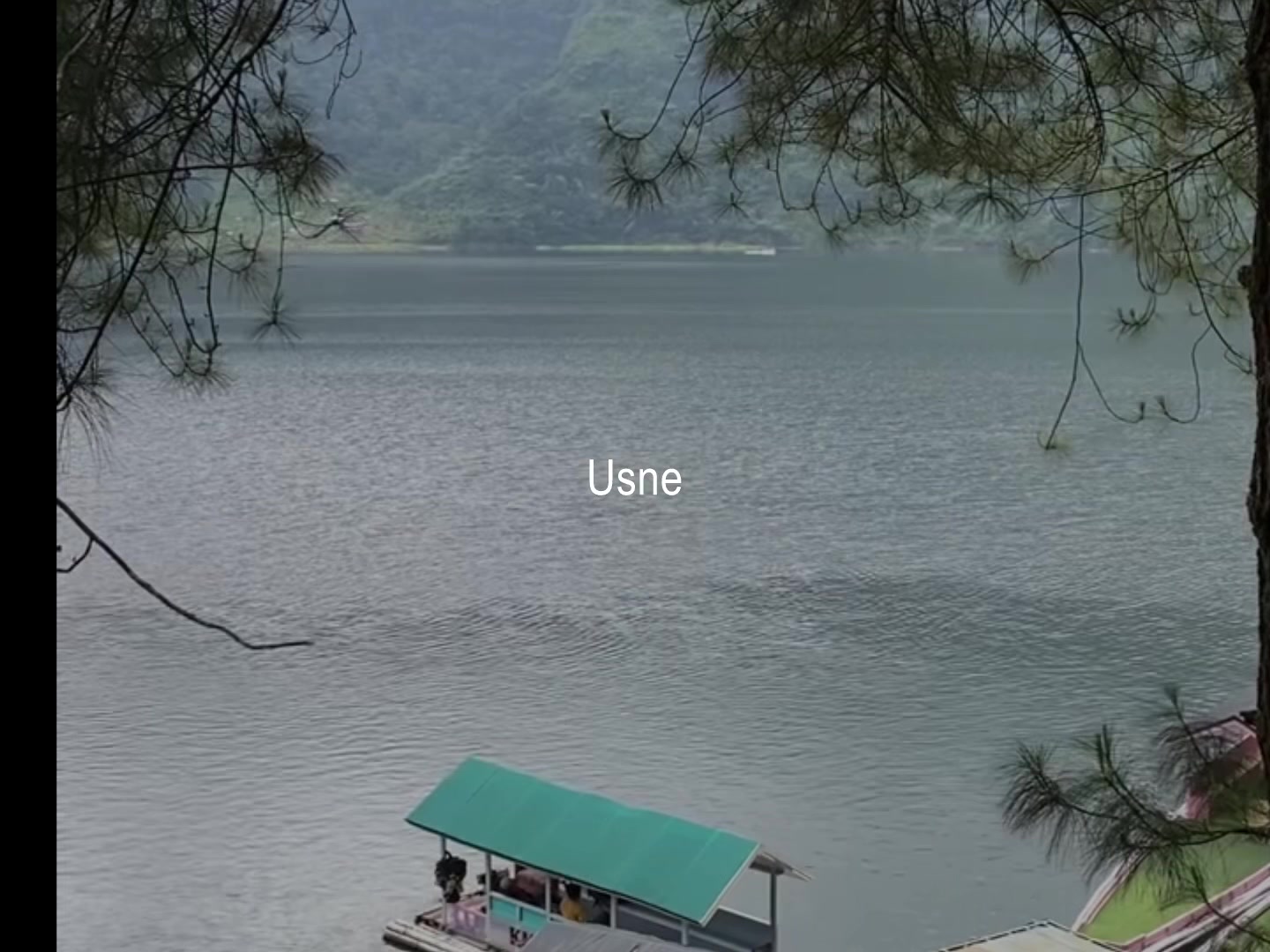 @ʟᴏꜰɪ ᴅʀᴇᴀᴍꜱ