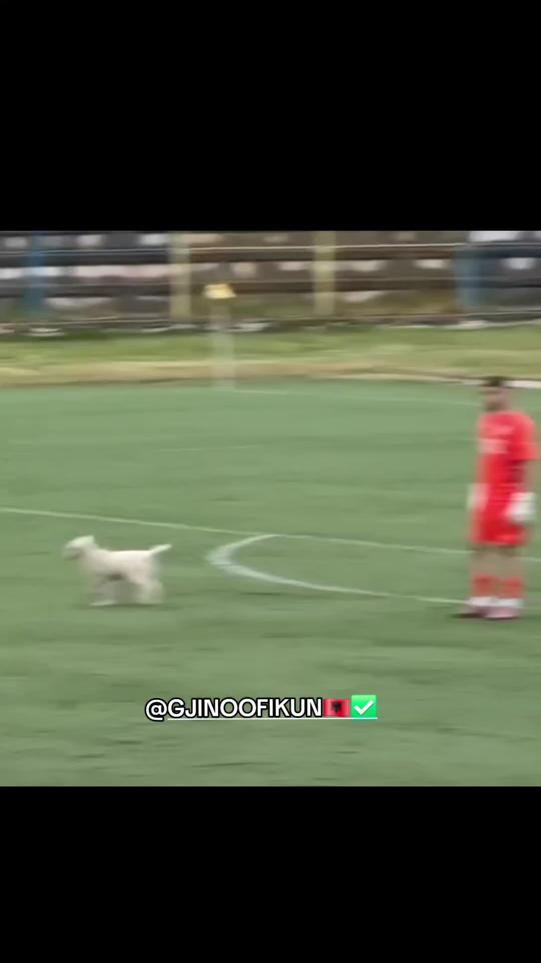 @GJINOOFIKUN🇦🇱✅️