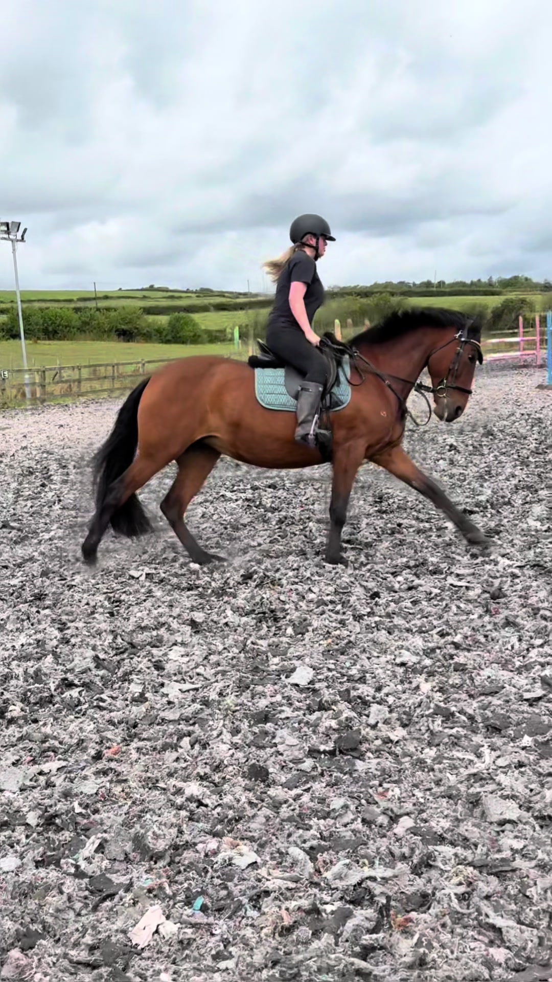 @Lilywiththecobs🐴