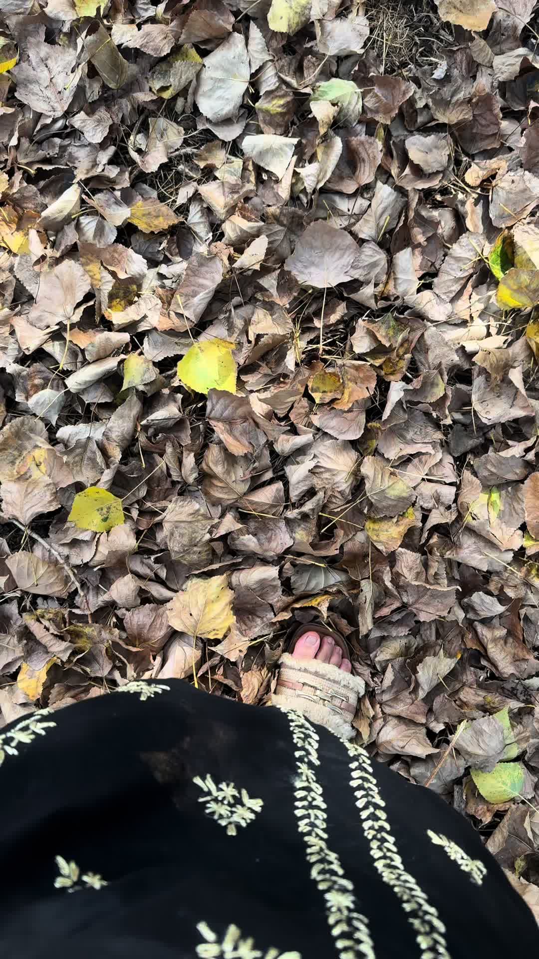 @Hasinakosar