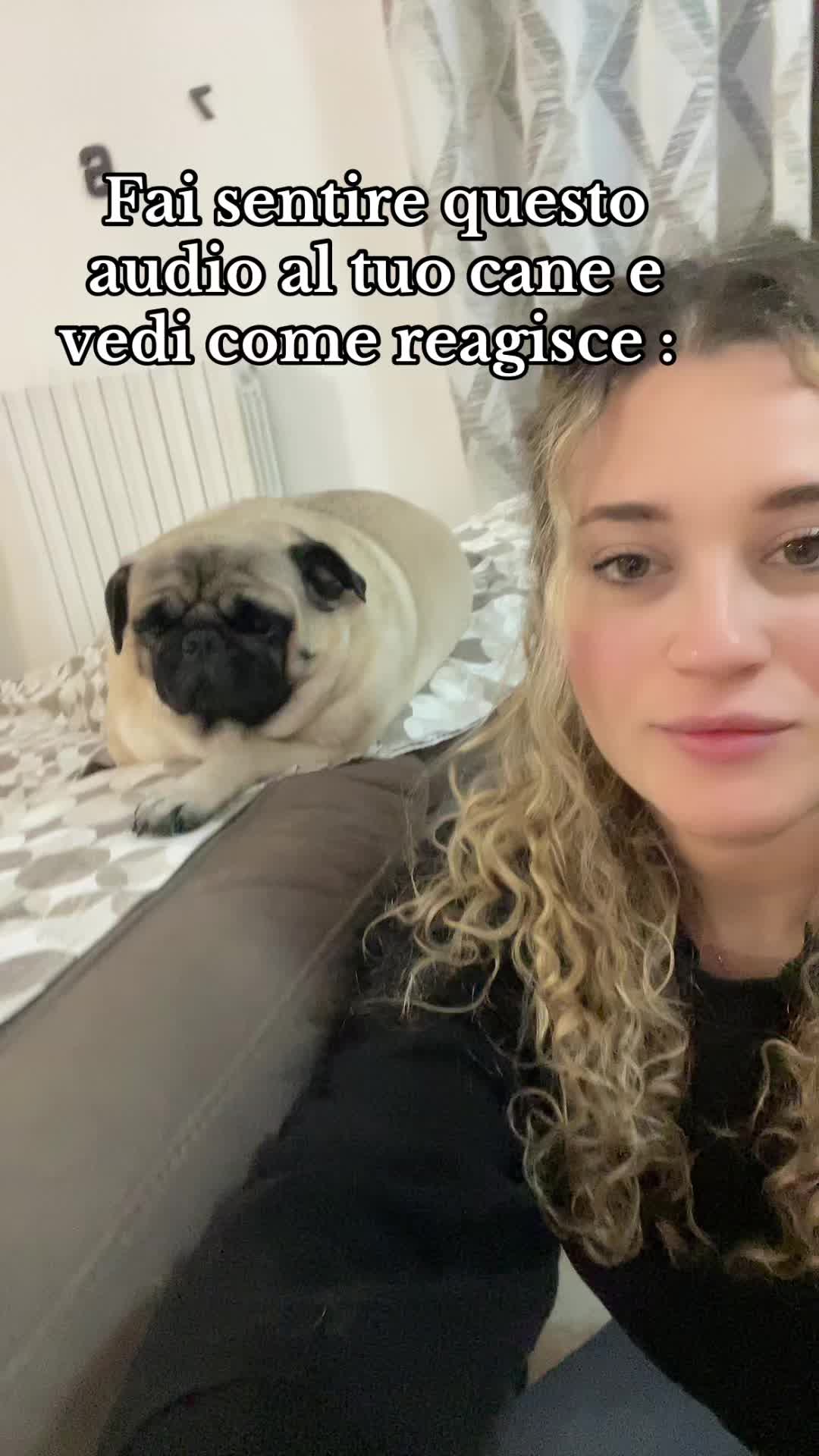 @Giorgia Pernice