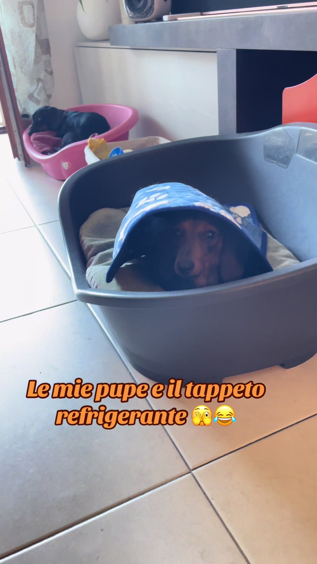 @Ilaria Petraccone