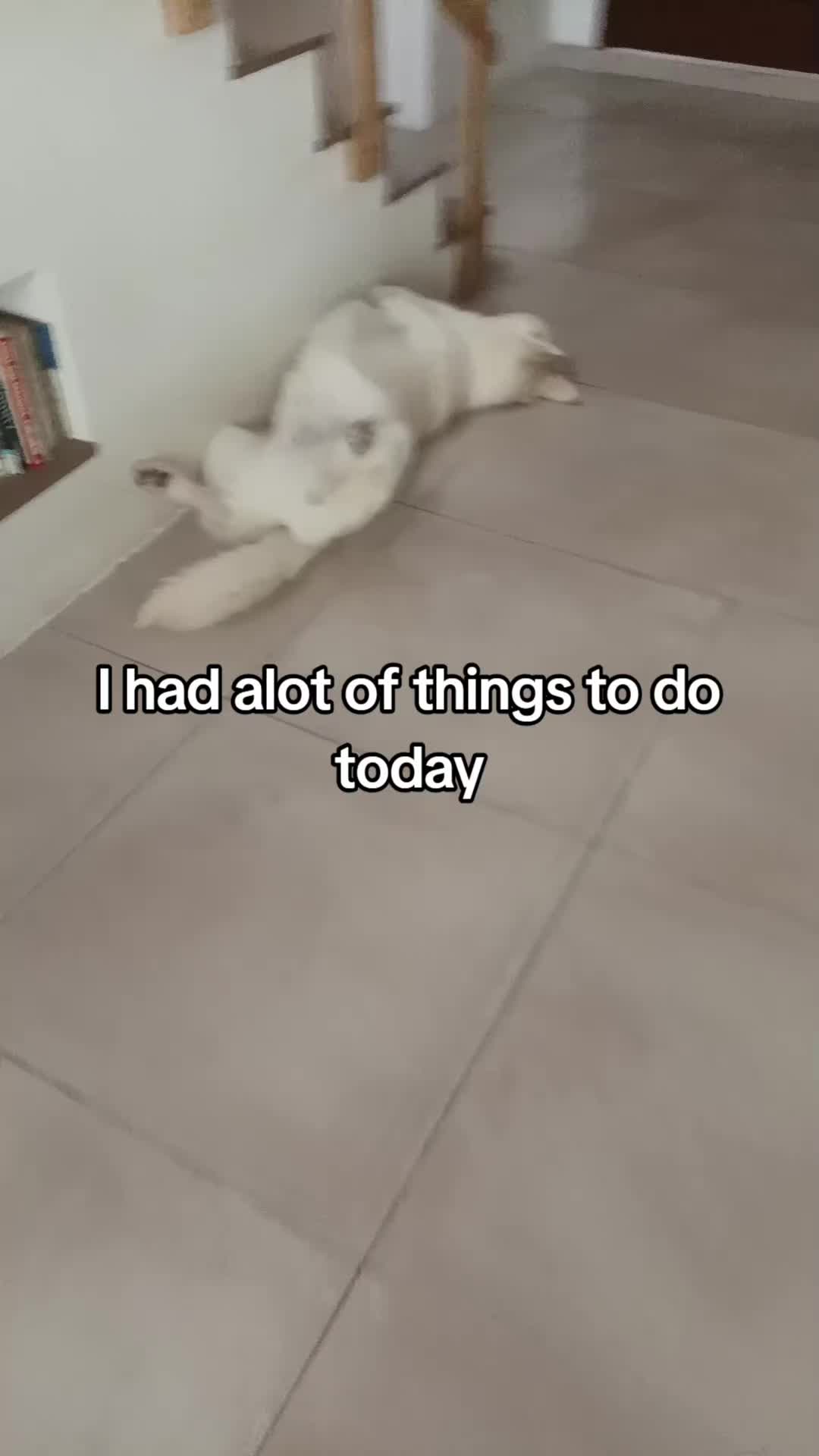 @★KAI★