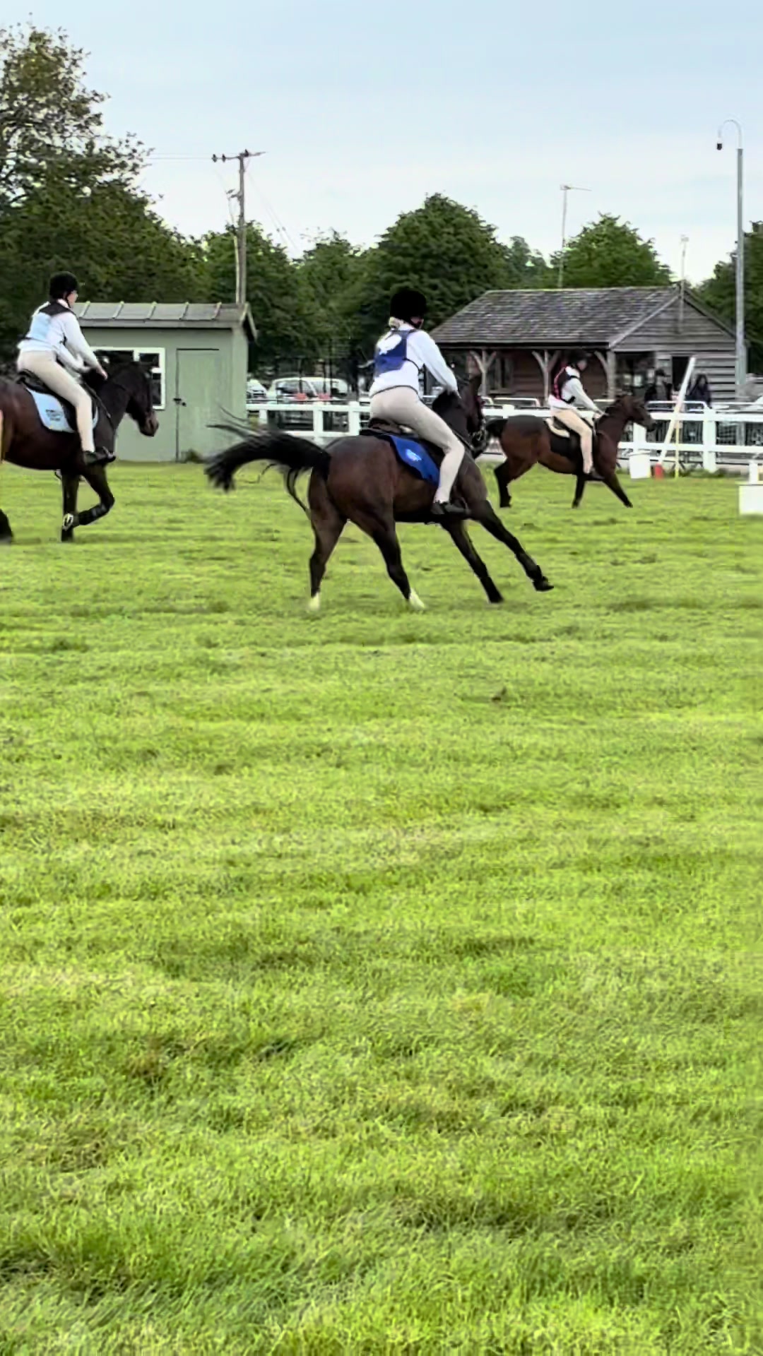 @Charlotte 🏇🐑