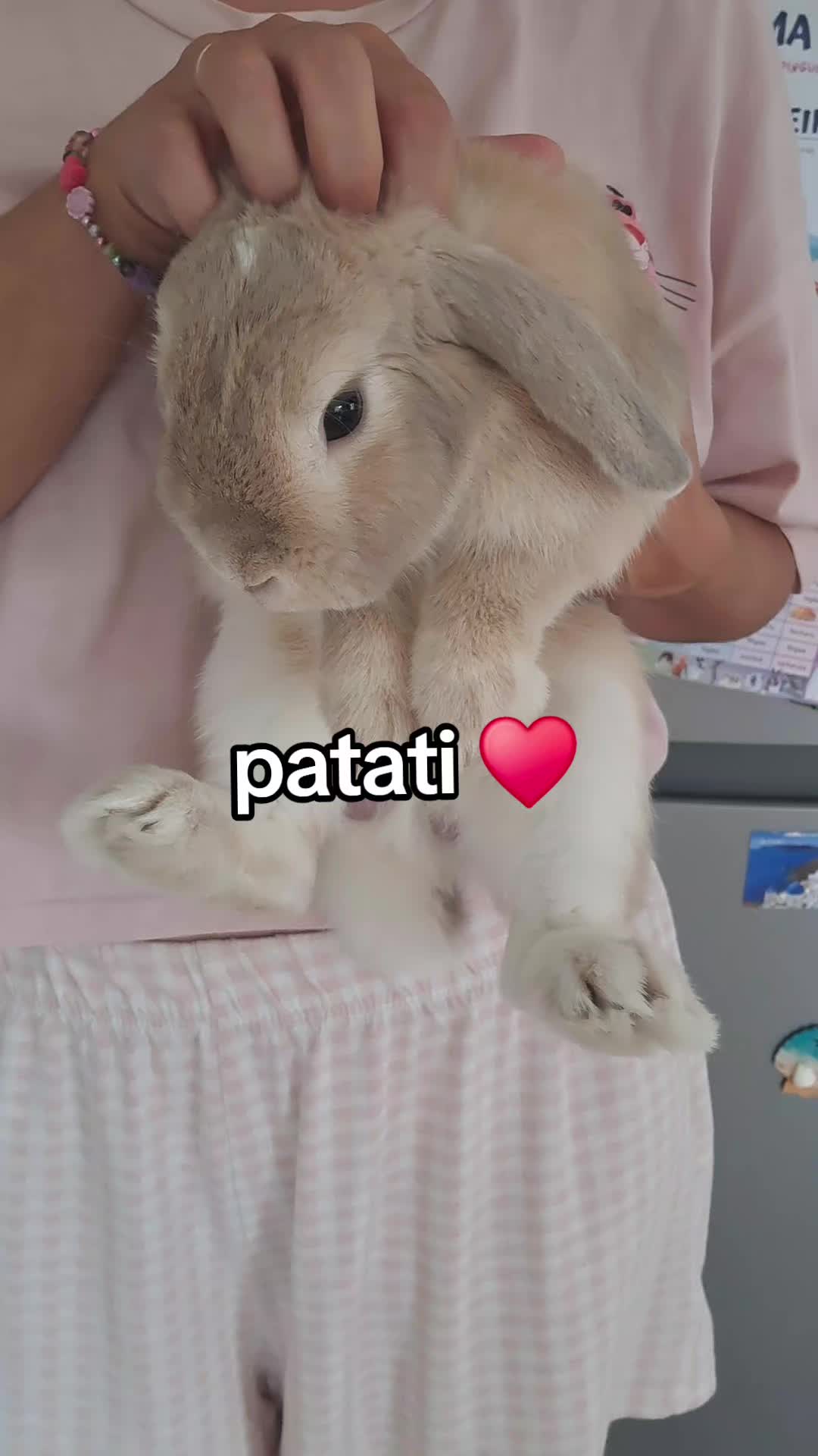 @Patatilla Rabbit 🐰🌱🥕