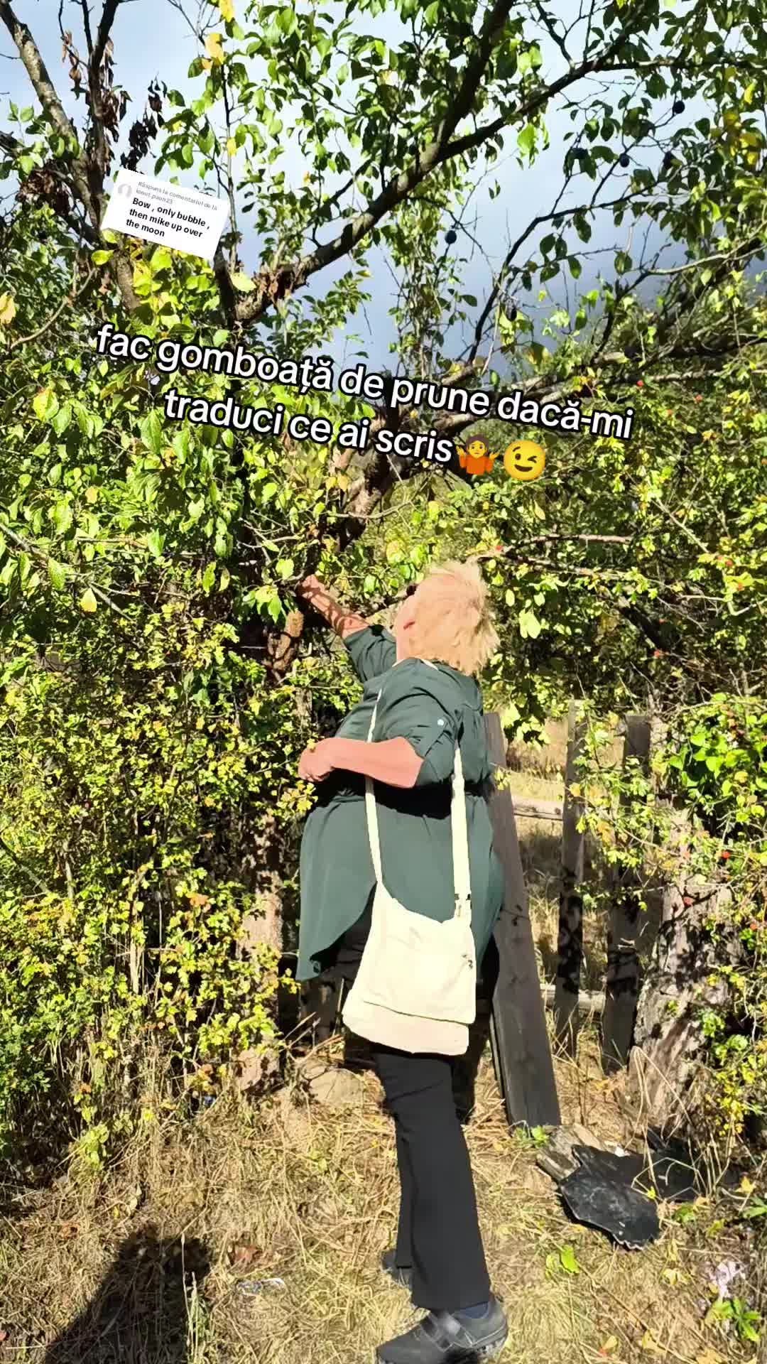 @Anna 61panga
