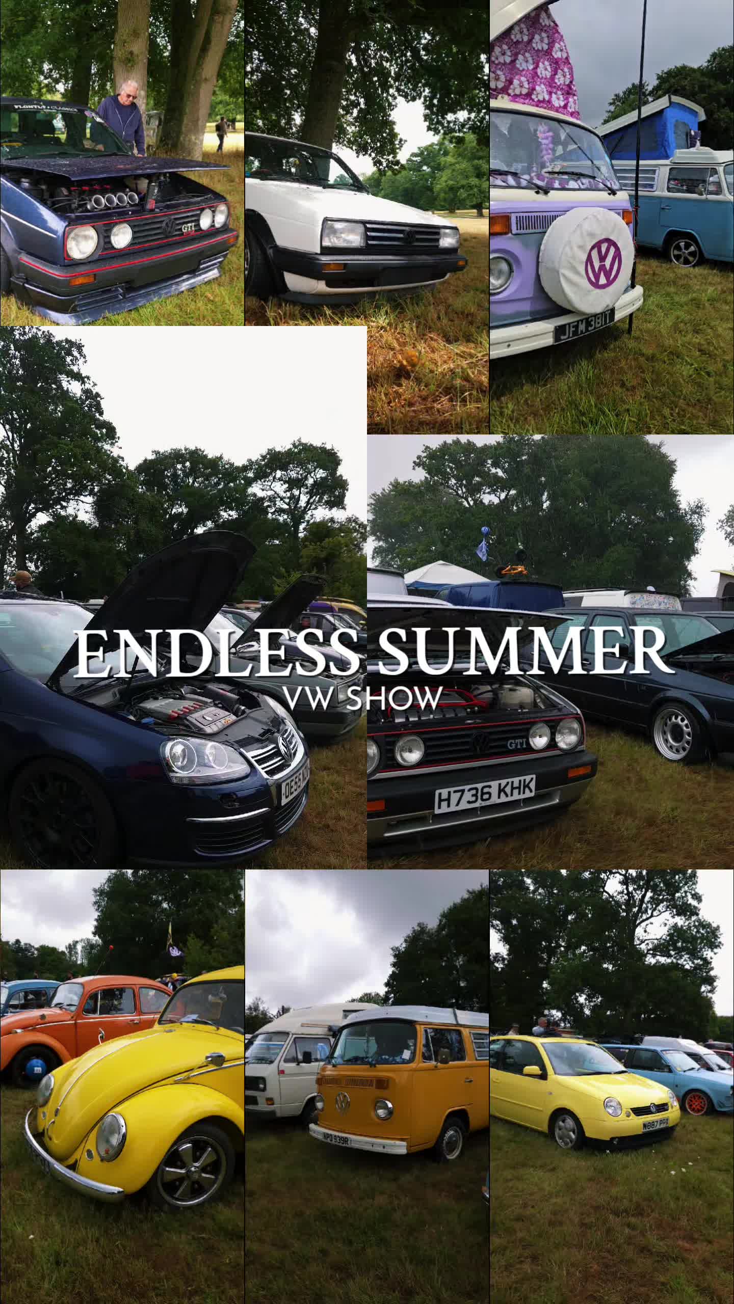 @Endless Summer VW Show