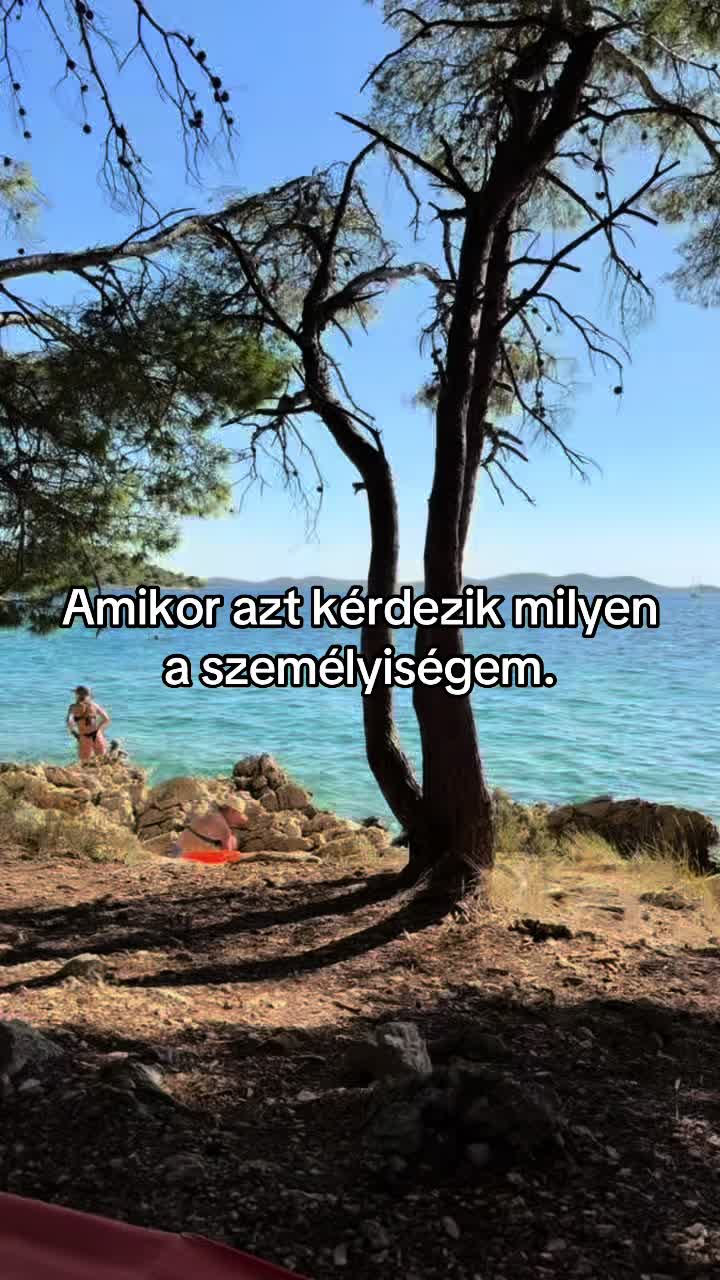 @batorfii