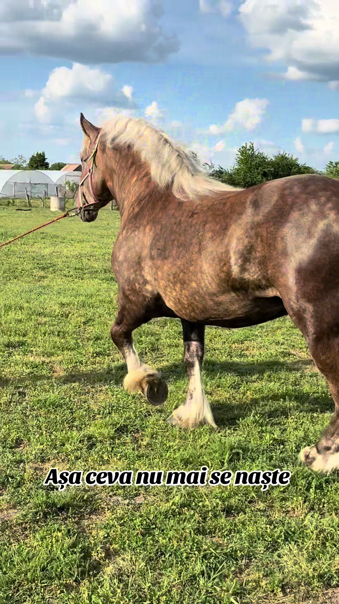 @🐴Spartanu🐴