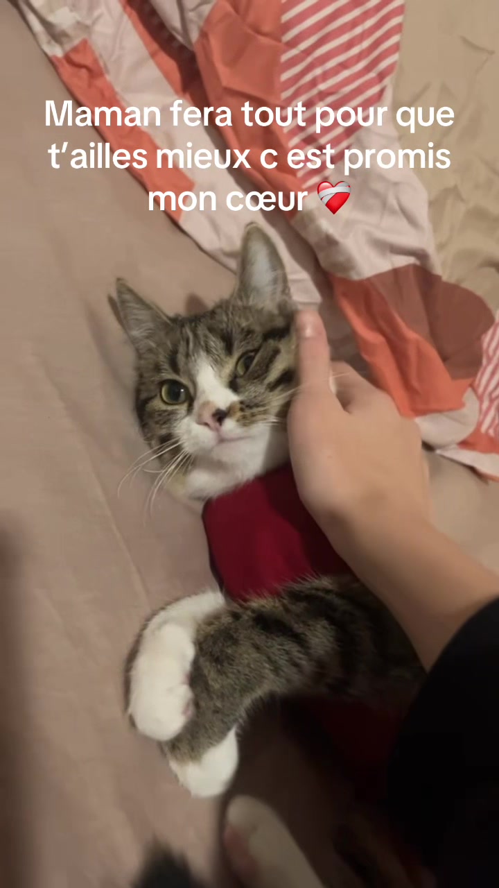 @L&eacute;a ✝️