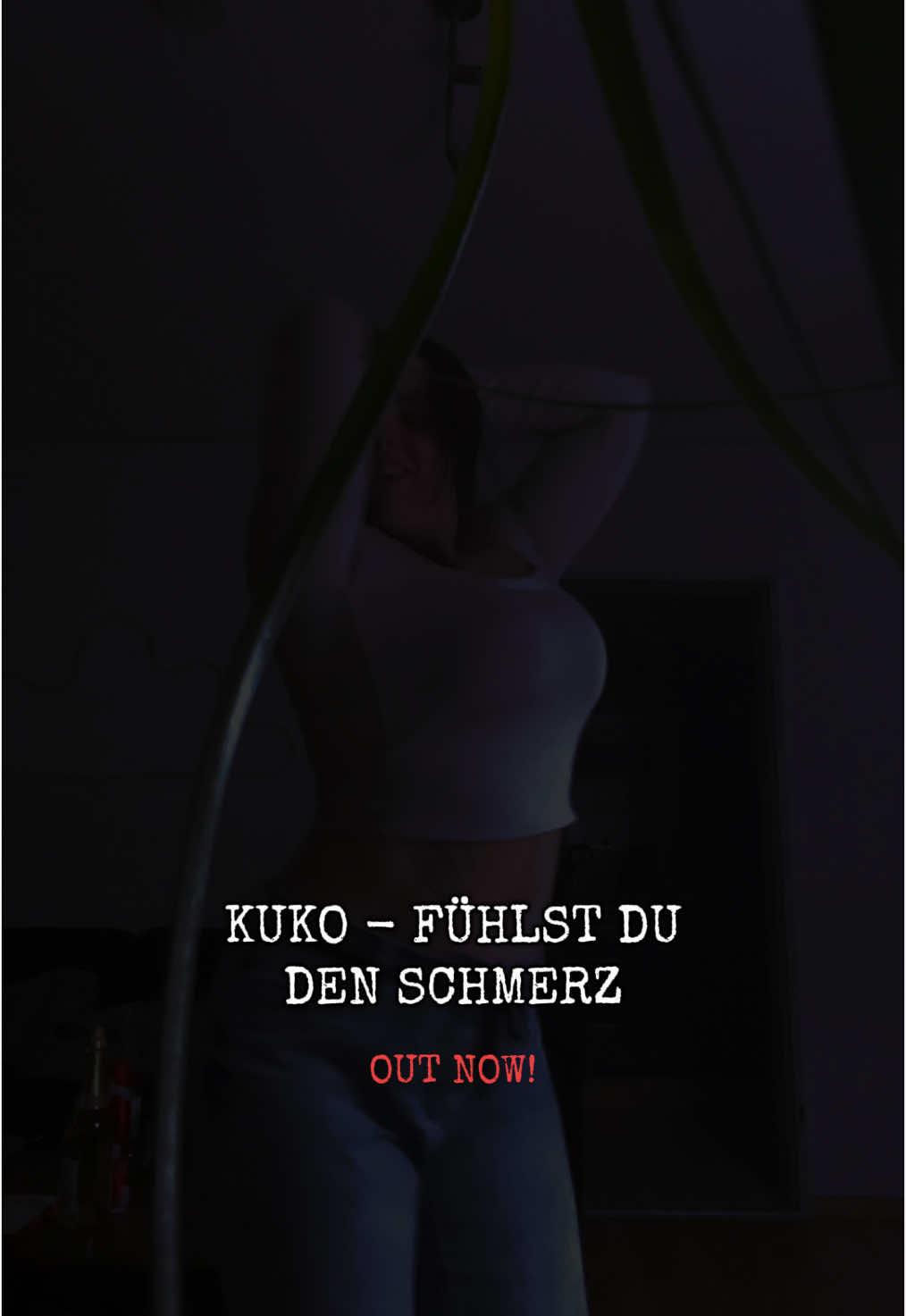 @Asslin