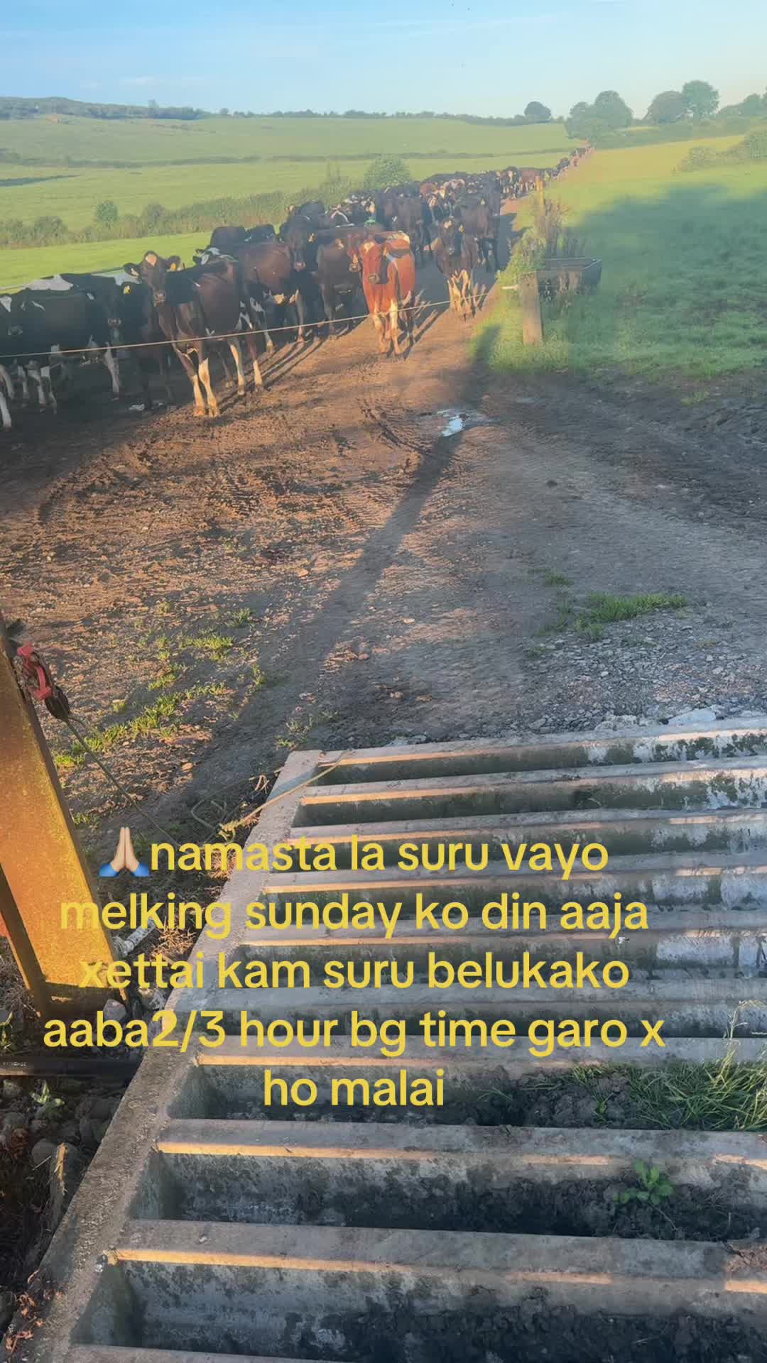 @Arjunkarki🇳🇵🙏🏼❤️🇮🇪🇮🇪