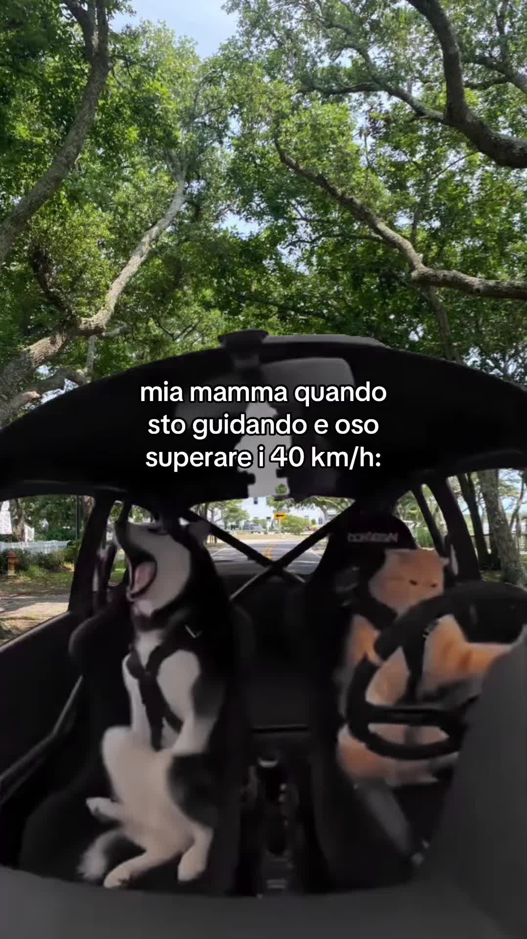 @๐๐ต๐ฒ๐ผ๐ช๐ช