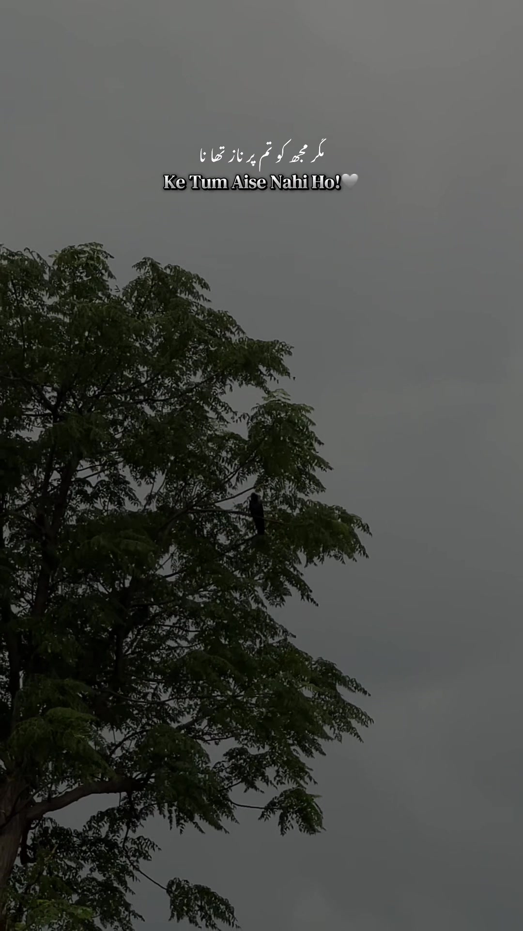 @بکھرے خواب🍂