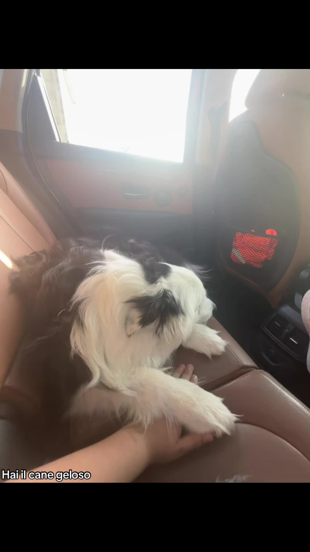 @💟ALI💟