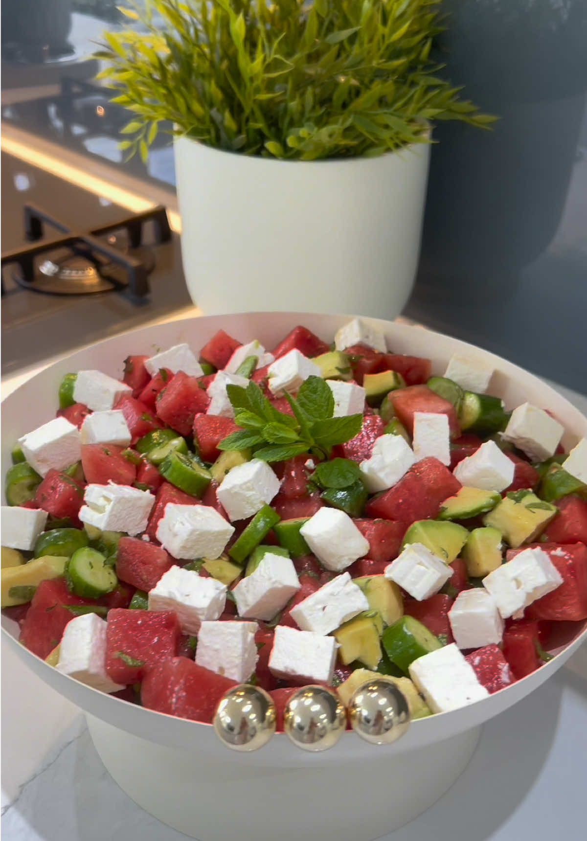 @shazcooks_