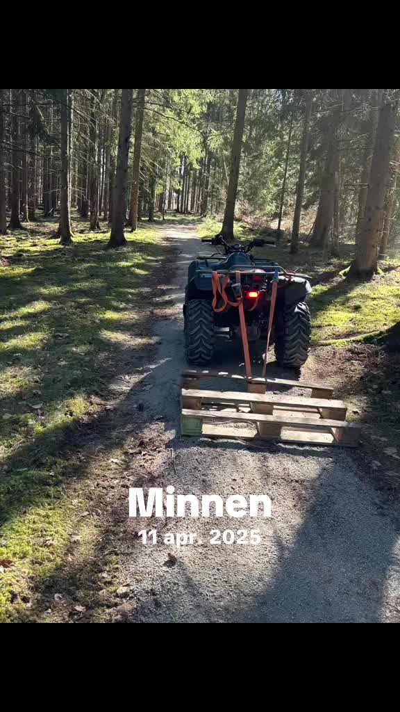 @Mikael T