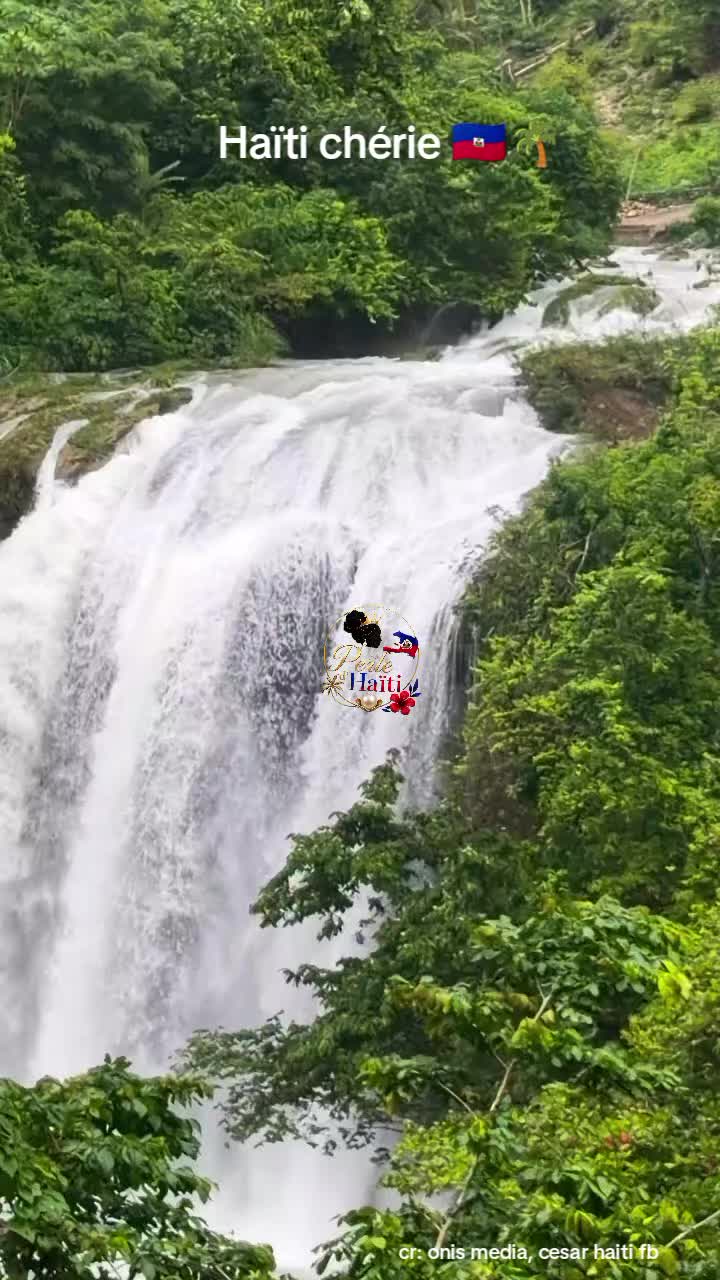 @🌴PERLE D'HAÏTI 🌴