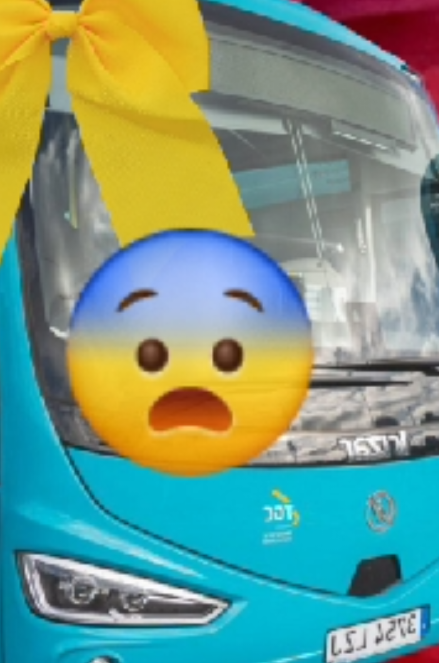 @Lolokun99🇮🇨🇪🇸🥖