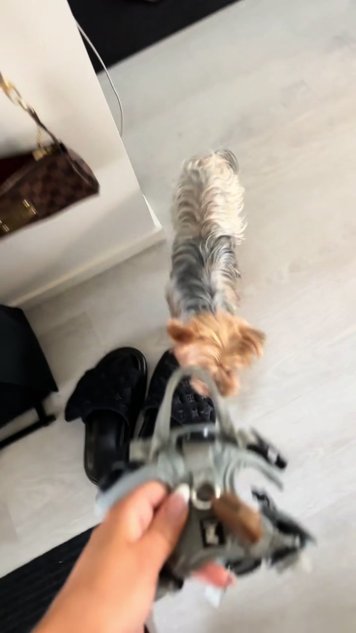 @sofiakarppinen