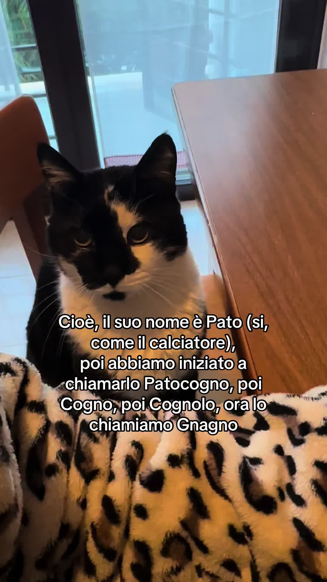 @Ludovica