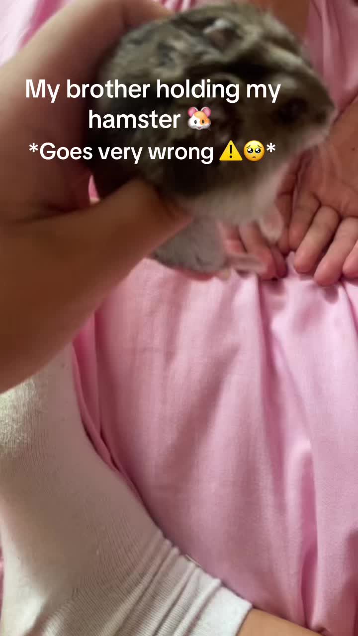 @Maisie🫶🏽