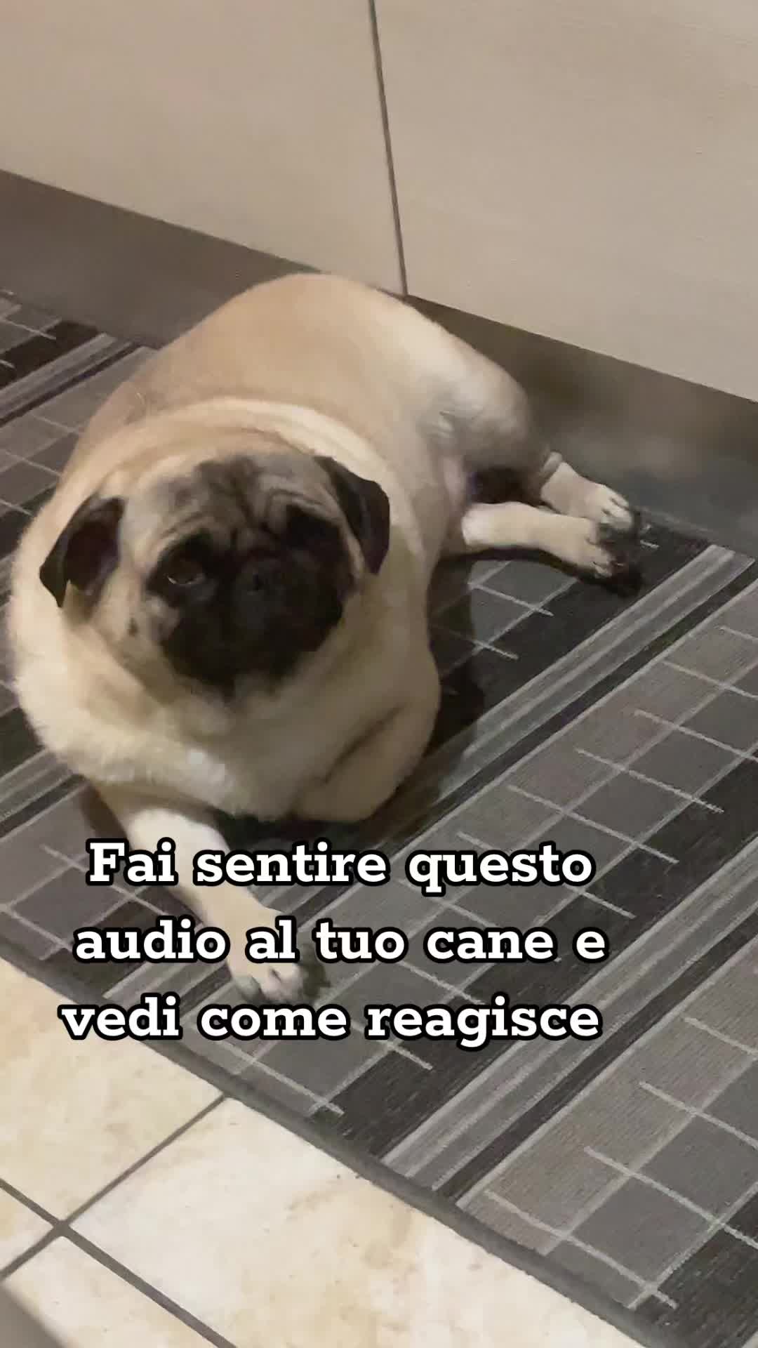 @Giorgia Pernice