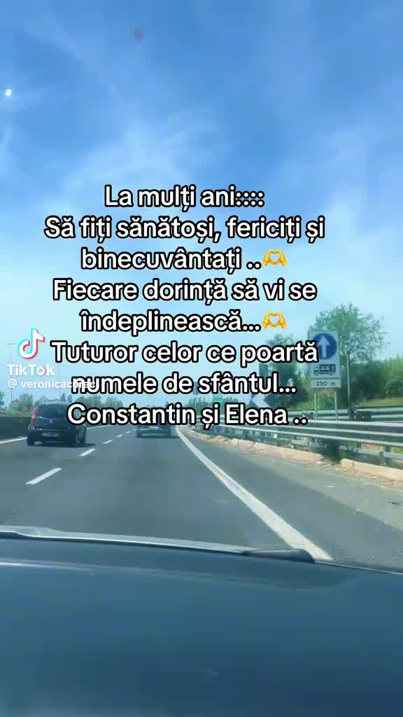@Leontina Jipa