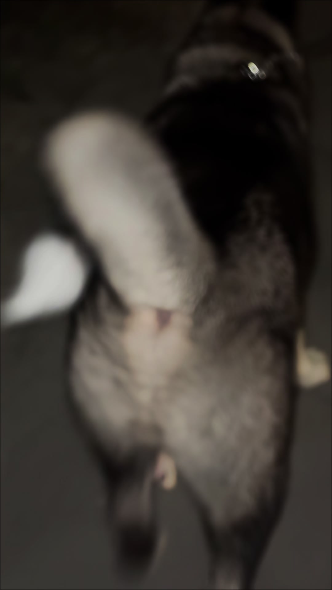 @꧁ঔৣ☠︎ فلسطينية ⅆ❦☠︎ঔৣ꧂