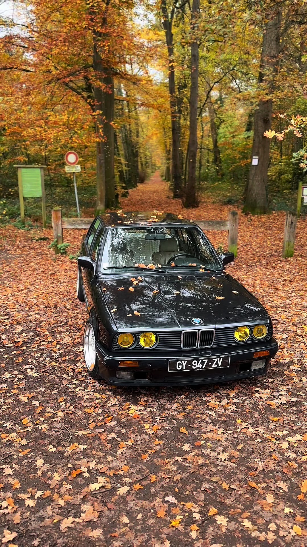 @Berry_E30